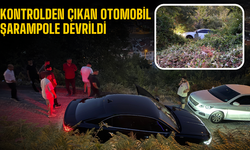 Sakarya’da Otomobil Şarampole Devrildi
