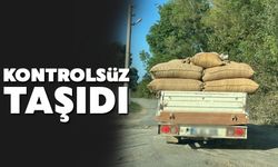 Kaynarca’da Fındık Yüklü Araç Tehlike Saçtı