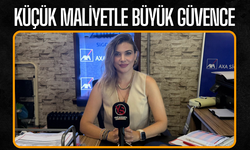 Küçük Maliyetle Büyük Güvence: Sigortanın Önemi ve Maliyetleri