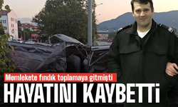 Fındık toplamaya gitti acı haberi geldi!