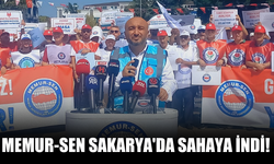 Memur-Sen Sakarya'da sahaya indi!