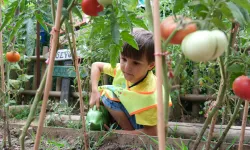 Minik Çevreciler Ürünlerini Hasat Etti