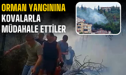 Mahalleli birlik oldu, orman yangınına kovalarla müdahale etti