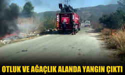 Geyve'de otluk ve ağaçlık alanda yangın çıktı!