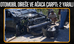 Karasu’da Otomobil Direğe ve Ağaca Çarptı: 2 Yaralı