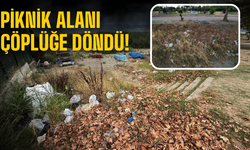 Piknik alanı çöplüğe döndü!