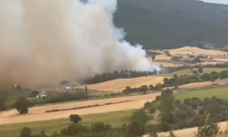 Bursa Yenişehir’de Orman Yangınına Havadan ve Karadan Müdahale