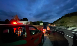 Orman Emvali Denetimleri Sıkılaştırıldı