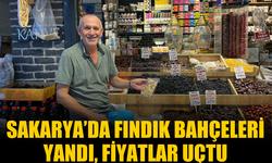 Sakarya’da fındık bahçeleri yandı, fiyatlar uçtu