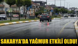 Sakarya'da yağmur etkili oldu!