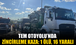 TEM Otoyolu’nda Zincirleme Kaza: 1 Ölü, 16 Yaralı