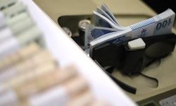 Bankalarda Unutulan 732 Milyon Lira TMSF’ye Aktarıldı