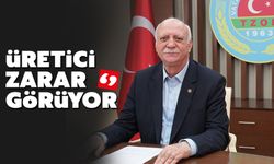Tarım Girdileri Ağustos’ta Yüzde 85,3 Arttı