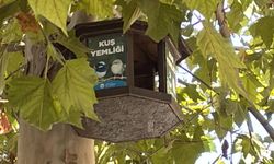 Sakarya’da Kuşlara Yaz-Kış Barınak!