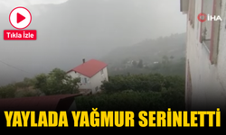 Sakarya Hendek’te Bin 725 Metre Rakımlı Dikmen Yaylası’nda Yağış Etkili Oluyor