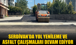 Serdivan'da Yol Yenileme ve Asfalt Çalışmaları Devam Ediyor