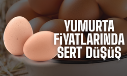 Yumurta Fiyatlarında Sert Düşüş