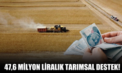 47,6 milyon liralık tarımsal destekleme ödemesi yapıldı!