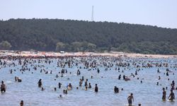 Kocaeli Sahillerinde KOSKEM Ekipleri 2025 Yaz Sezonunda Binlerce Kişiyi Kurtardı