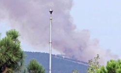 Kocaeli İzmit’te Orman Yangını: Hatipköy’de Alevler Yükseldi