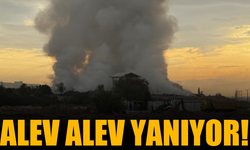 Çöp aktarma noktasında çıkan yangına müdahale ediliyor