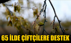 Zirai Dondan Etkilenen Çiftçilere Destek Ödemesi Yapılacak