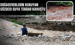 Kuruyan Maden Deresi Yeniden Hayat Buldu!