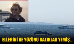 Ellerini ve yüzünü balıklar yemiş...