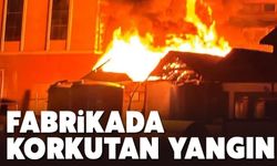 Taraklı'da korkutan yangın: Gece vakti...