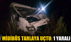 Taraklı’da Midibüs Tarlaya Uçtu: Sürücü Yaralandı