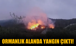 Geyve'de ormanlık alanda yangın çıktı!