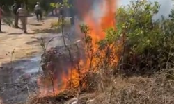 Çalılık alanda çıkan yangın 1 saatte söndürüldü