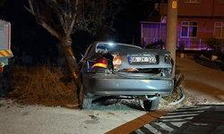 Bolu’da Otomobil Ağaca Çarptı: 2 Yaralı