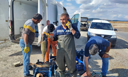 Çekerek Barajı’nda Kuraklık Balıkçılığı Etkiledi