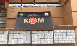Kaçakçılık Operasyonu: 3,8 Milyon Makaron Ele Geçirildi