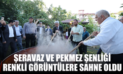 Sakarya’da Şeravaz ve Pekmez Şenliği Renkli Görüntülere Sahne Oldu