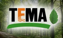 TEMA Vakfı Edirne Gönüllüler Arıyor