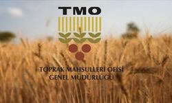 TMO, Üreticilere 5,2 Milyar Lira Ödeme Yaptı