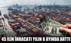 Türkiye’de 45 İlin İhracatı Yılın 8 Ayında Arttı