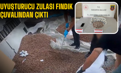 Sakarya’da Jandarmadan Uyuşturucu Operasyonu: Fındık Çuvalından Binlerce Hap Çıktı