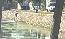 Sakarya Büyükşehir Belediyesi Çark Deresi’nde Temizlik Çalışmalarını Sürdürüyor