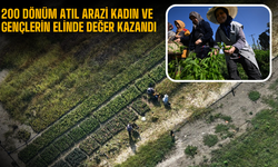 200 dönüm atıl arazi kadın ve gençlerin elinde değer kazandı