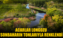 Acarlar Longozu sonbaharın tonlarıyla renklendi