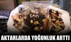 Aktarlarda yoğunluk arttı