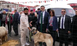 Anadolu’ya Açılan Kapı: Sivas Günleri Keçiören’de Ziyarete Açıldı