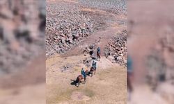 Atlı Jandarma Timleri Tendürek Dağı Eteklerinde Devriye Görevinde