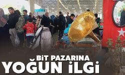 Bit Pazarı’na yoğun ilgi
