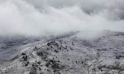 Bolu'nun yüksekleri beyaz örtüyle kaplandı