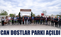 Evcil Dostlara Özel Alan: Serdivan’da “Can Dostlar Parkı” Hizmete Açıldı