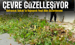 Serdivan’da Yeşil Alanlar Güzelleştiriliyor